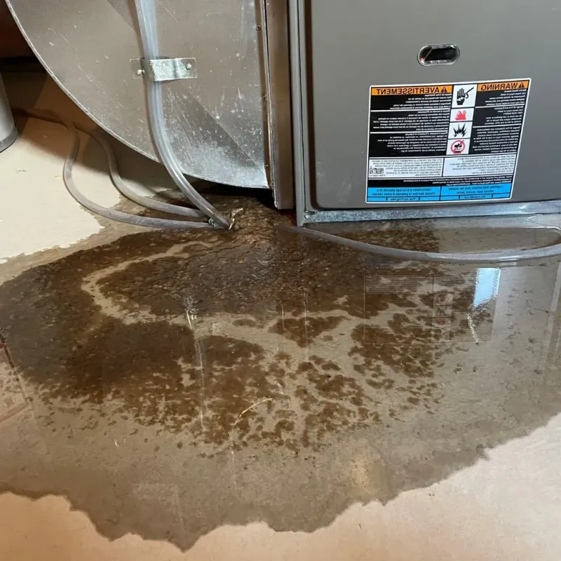 Pipe Burst and Leak Restoration in Sea Ranch, CA
